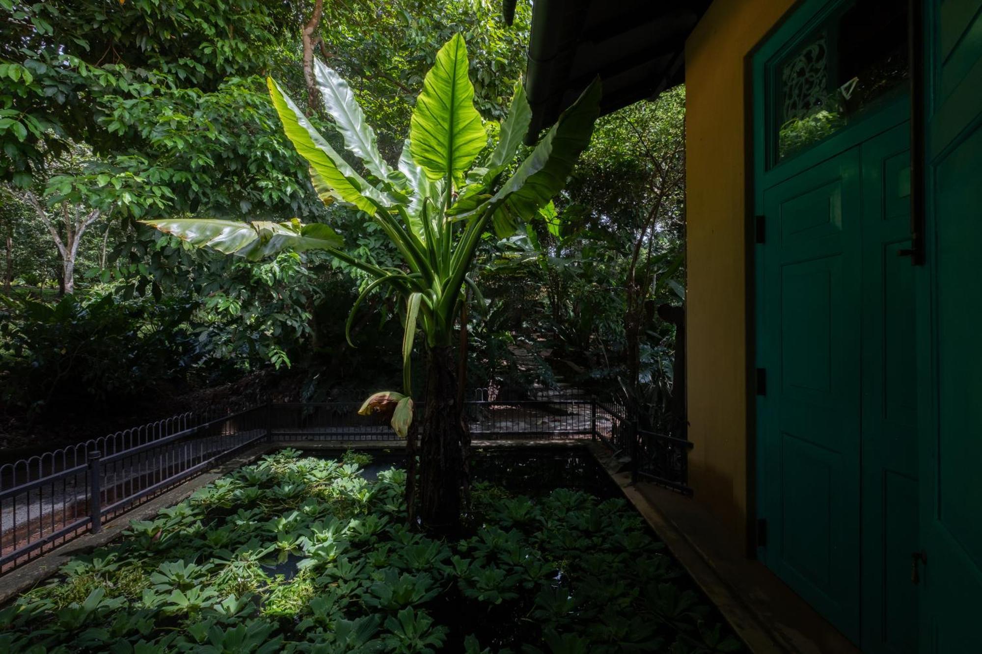 ホテル Casa Heliconia ガンパハ エクステリア 写真